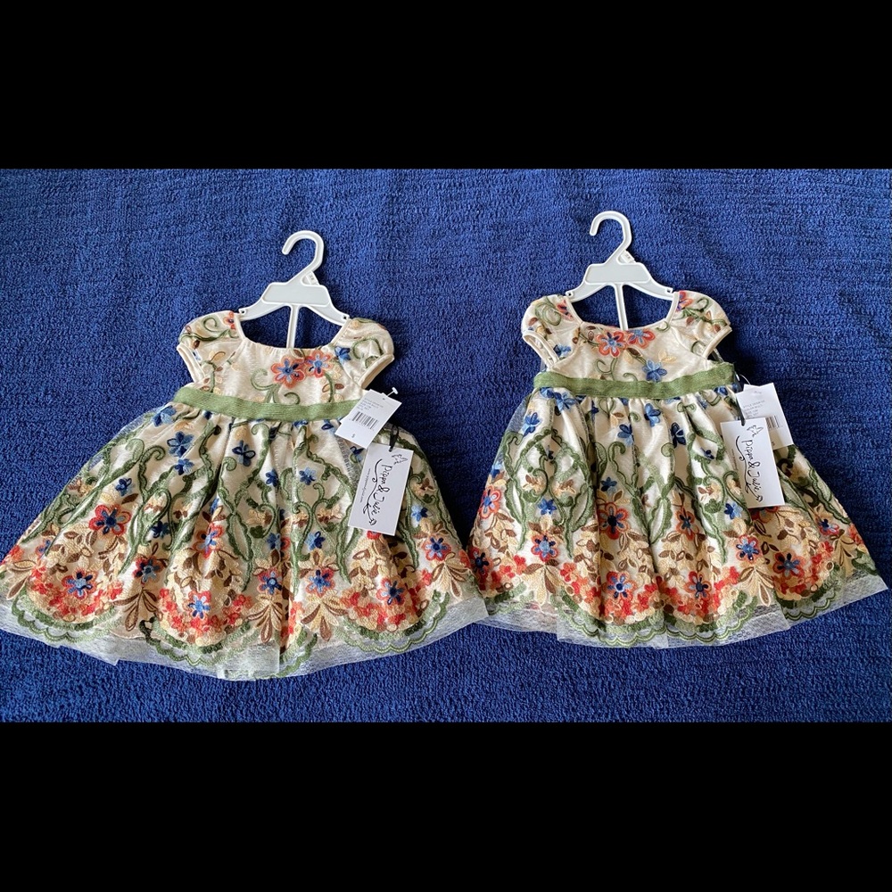 Toddler Fancy Dresses (2) Size 12 M